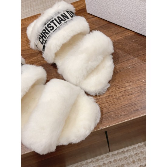 Dior Slippers