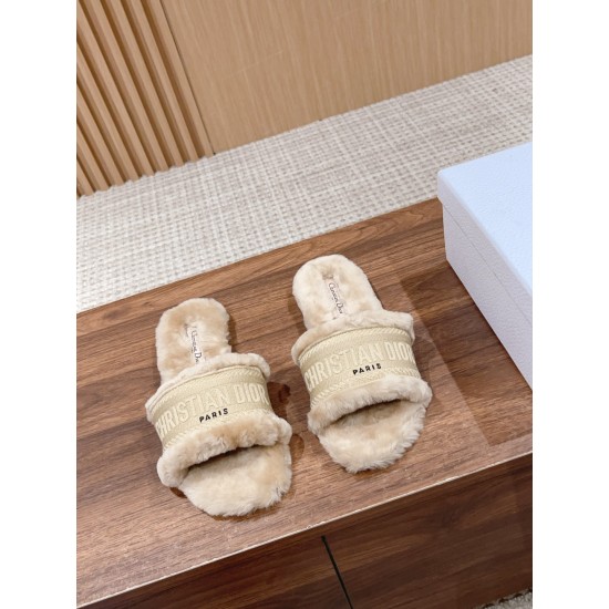 Dior Slippers