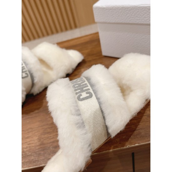 Dior Slippers