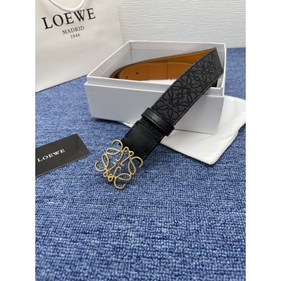 LOEWE Belts