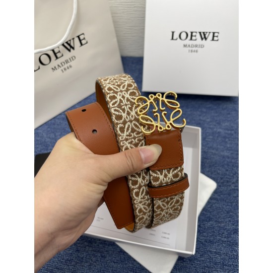 LOEWE Belts