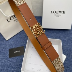 LOEWE Belts