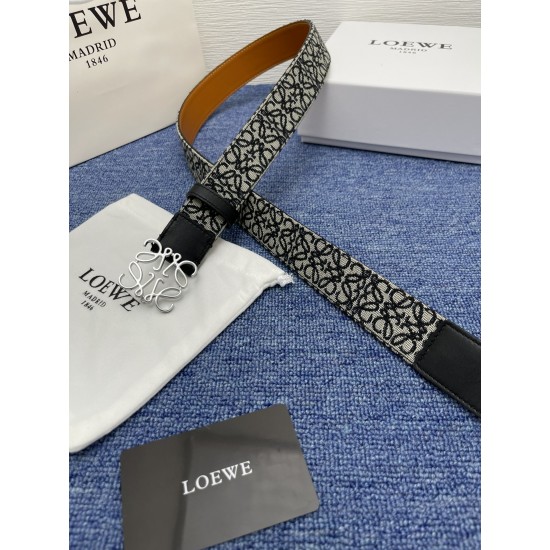 LOEWE Belts