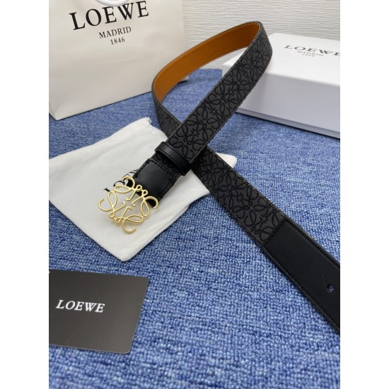 LOEWE Belts