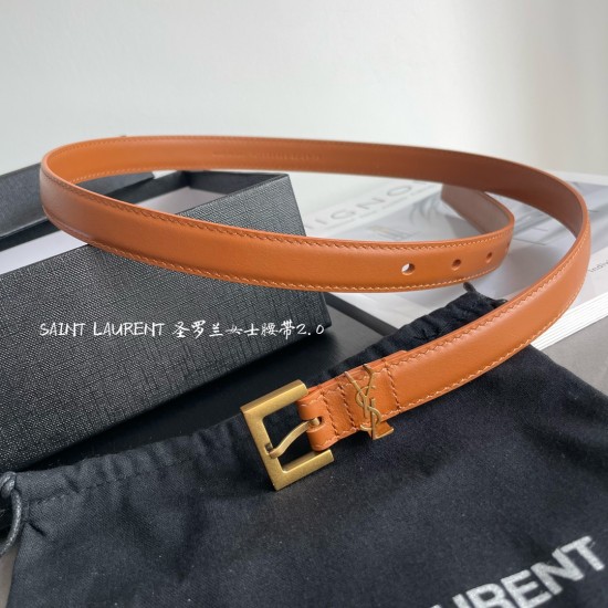YSL Belts