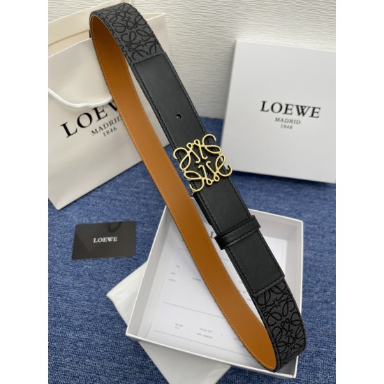 LOEWE Belts