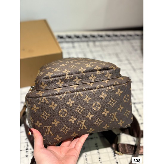 LV Backpack