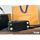 LV Capucines