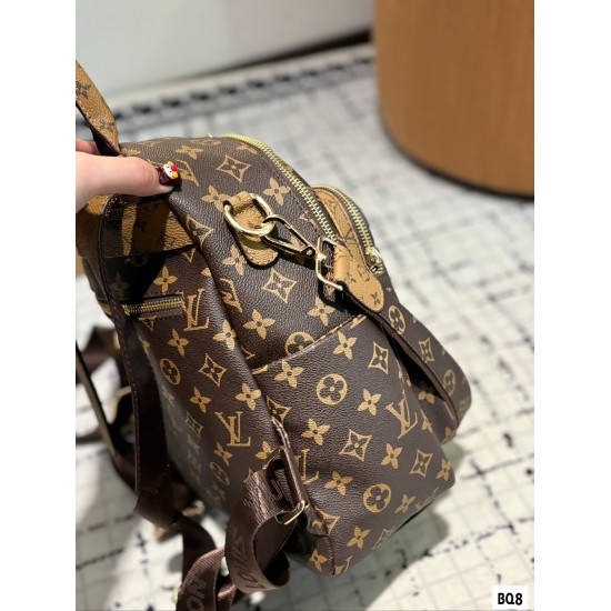 LV Backpack