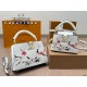 LV Capucines