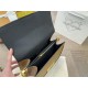LV Dauphine