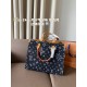LV Onthego