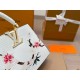 LV Capucines