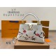 LV Capucines