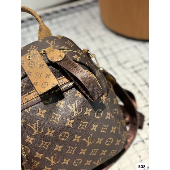 LV Backpack