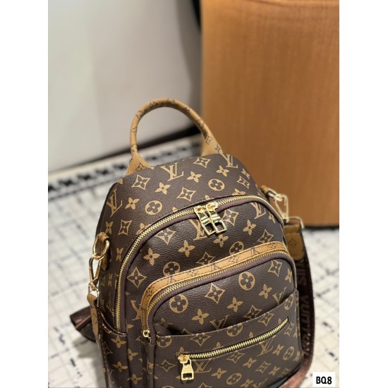 LV Backpack