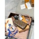 LV Pochette
