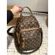 LV Backpack