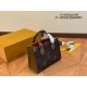 LV Onthego