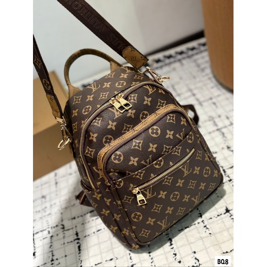 LV Backpack