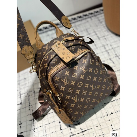 LV Backpack