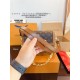 LV Dauphine