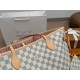 LV Neverfull