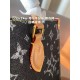 LV Onthego