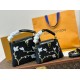 LV Capucines