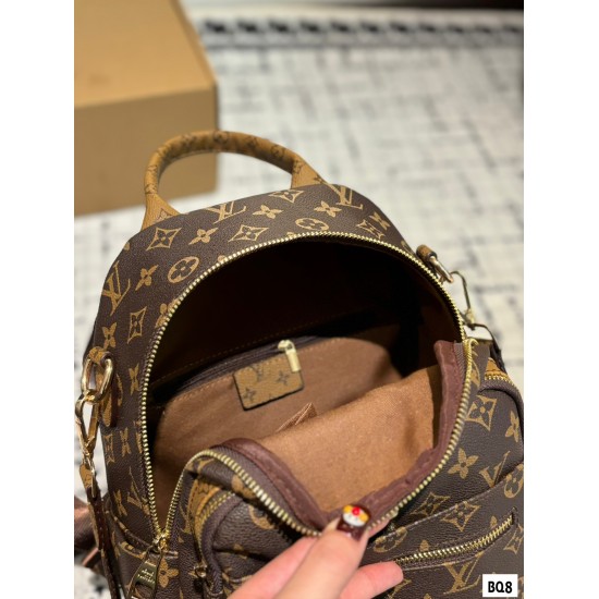 LV Backpack