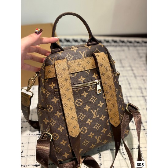 LV Backpack