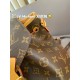 LV Backpack