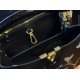 LV Capucines