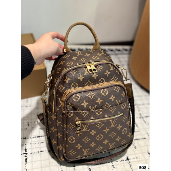 LV Backpack