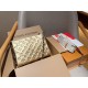 LV Coussin