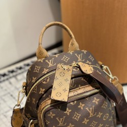 LV Backpack