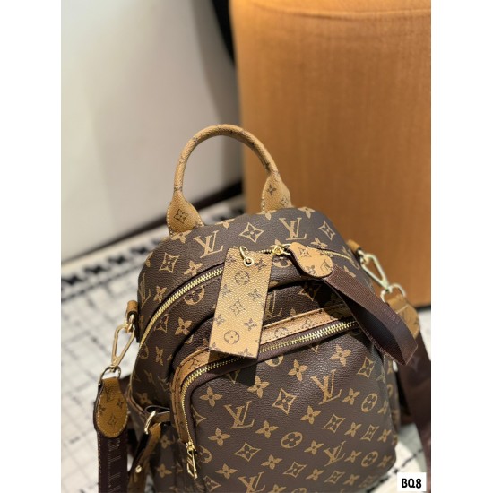 LV Backpack