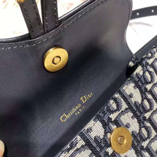 Dior Saddle