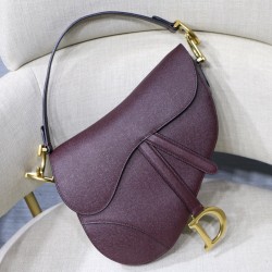 Dior Saddle