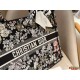 Dior Book Tote