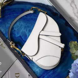 Dior Saddle