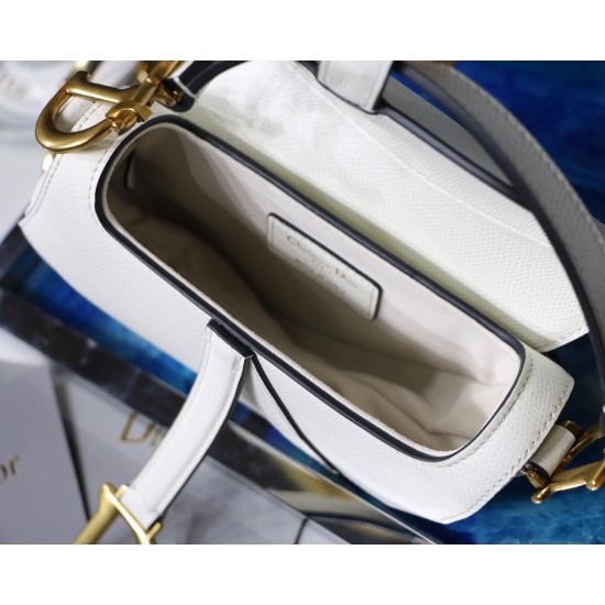 Dior Saddle