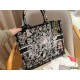 Dior Book Tote