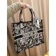 Dior Book Tote