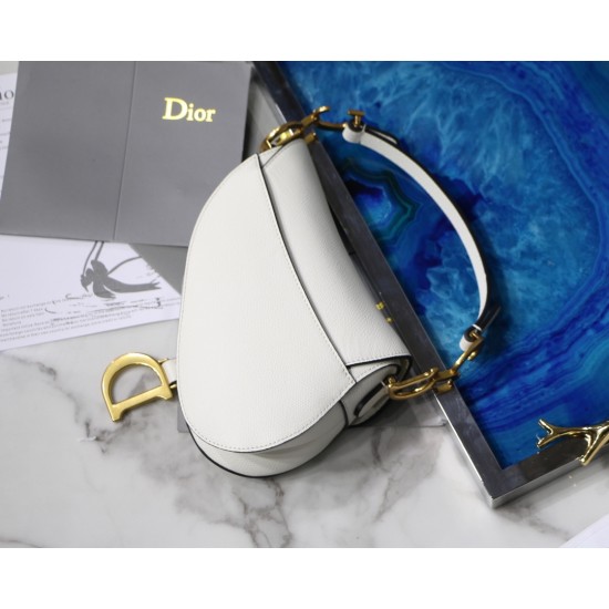 Dior Saddle