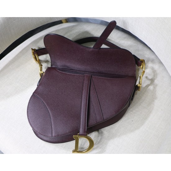 Dior Saddle