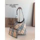BURBERRY BAGS