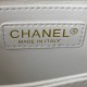 CHANEL COCO HANDLE