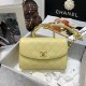 CHANEL COCO HANDLE