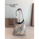 BURBERRY BAGS